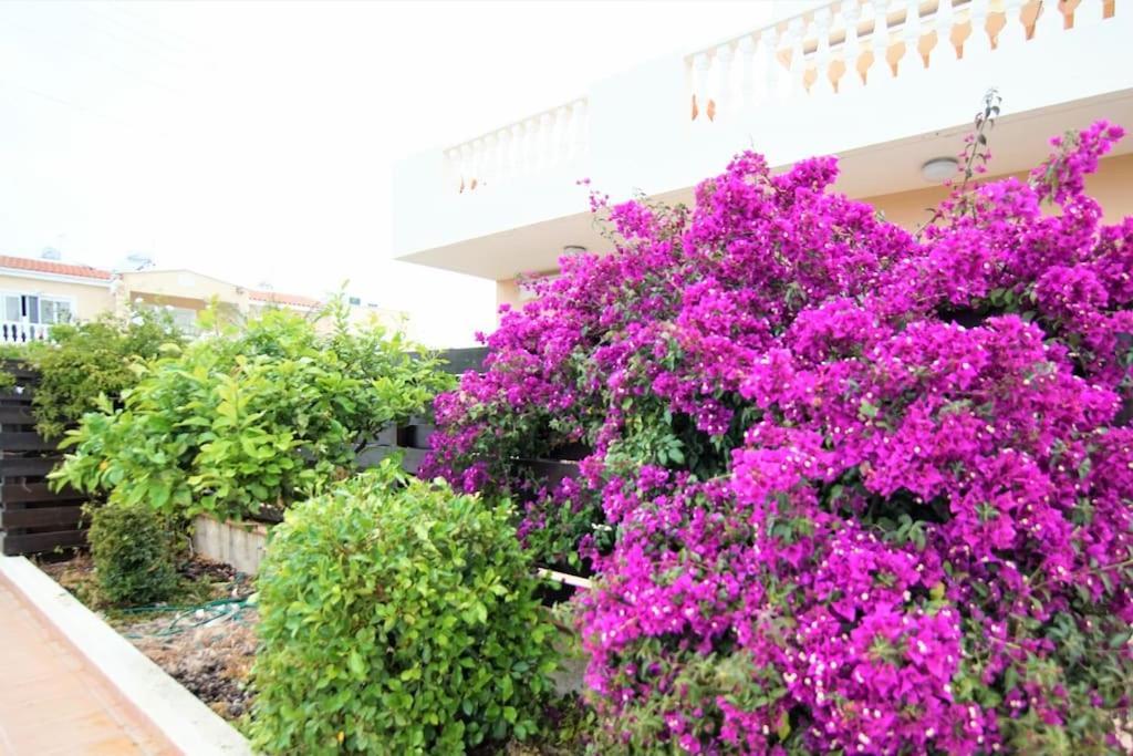 Apartman Pool-side 2 Bedroom In *